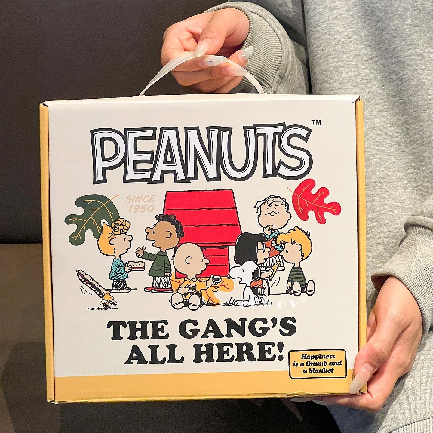 Snoopy Gang Cartoon Ceramic Bowl 4Pcs Gift Box