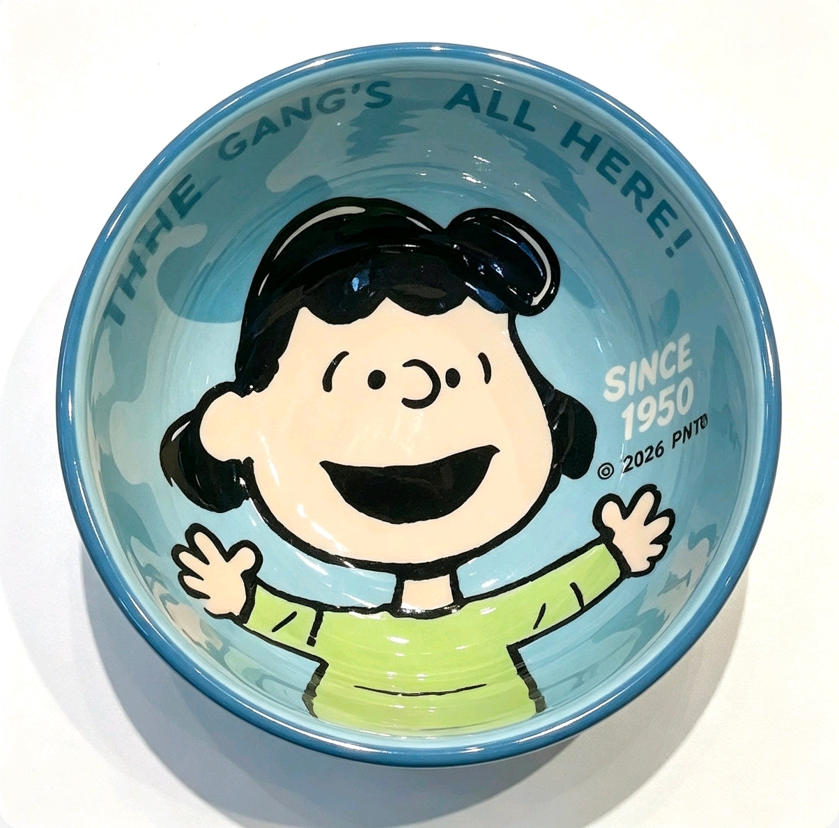 Snoopy Gang Cartoon Ceramic Bowl 4Pcs Gift Box