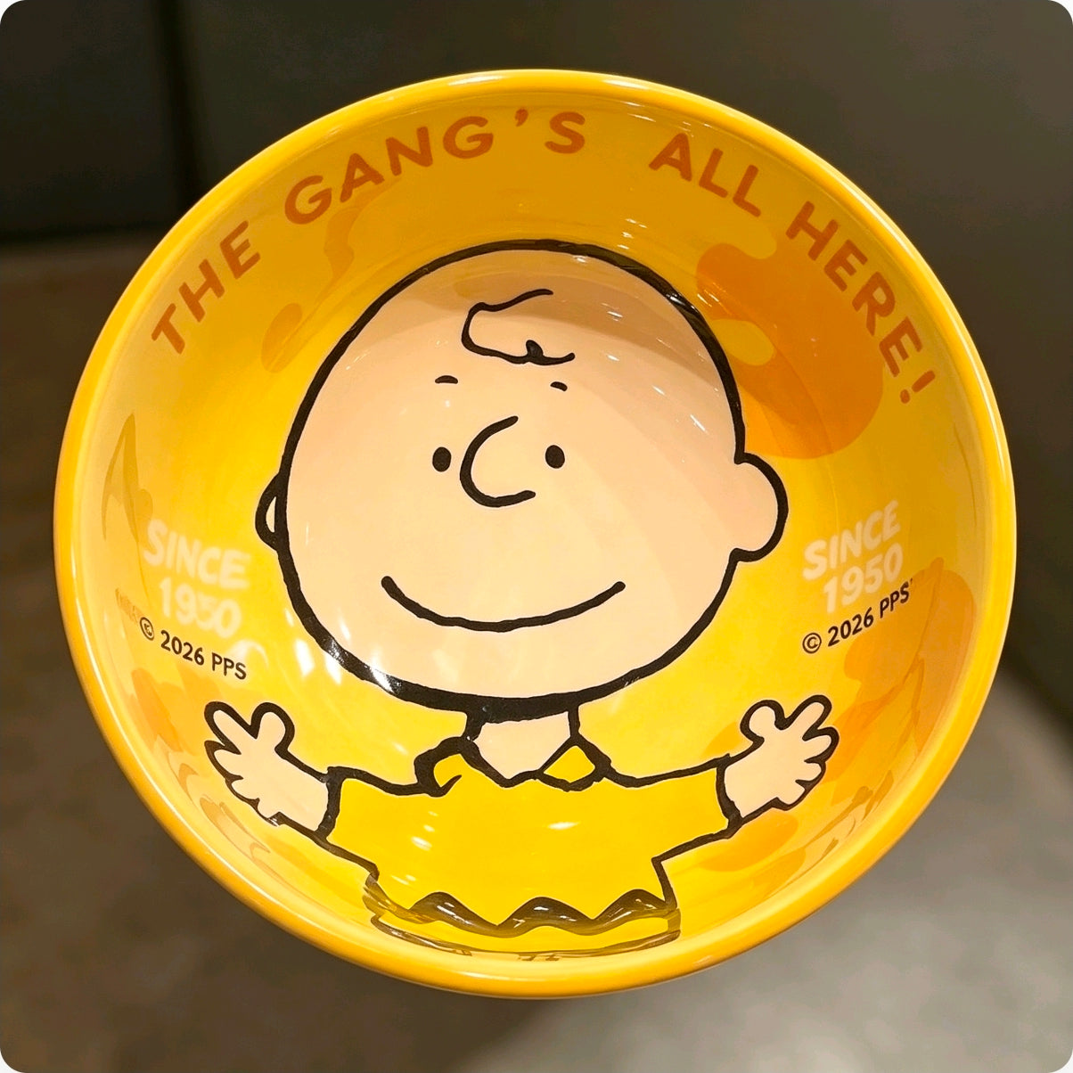 Snoopy Gang Cartoon Ceramic Bowl 4Pcs Gift Box