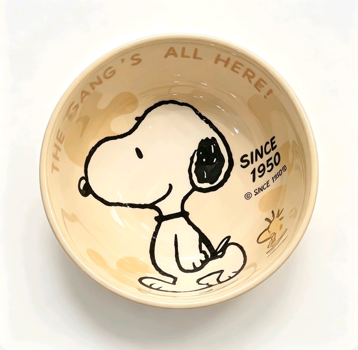 Snoopy Gang Cartoon Ceramic Bowl 4Pcs Gift Box