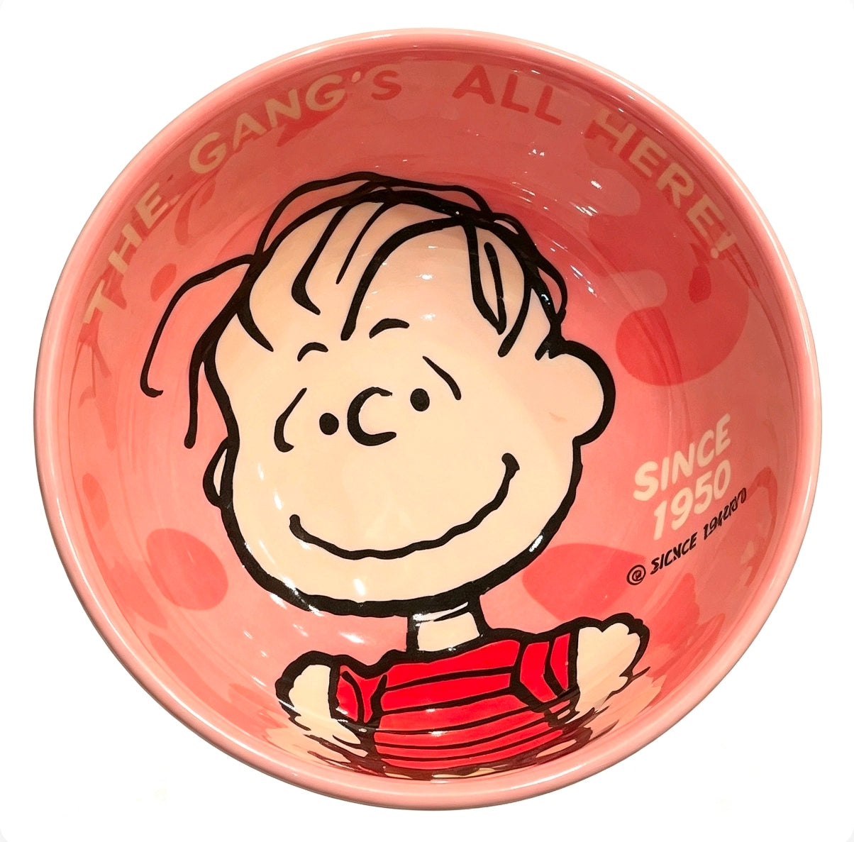 Snoopy Gang Cartoon Ceramic Bowl 4Pcs Gift Box